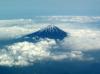 富士山麓にオウムはいるのか？の画像1