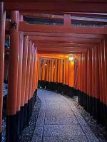 京都旅行の画像1