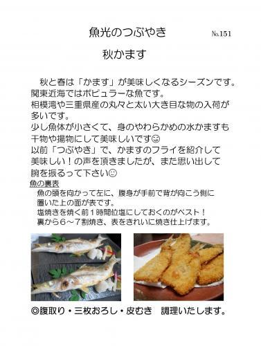 生田の魚屋さん『魚光』151の画像1